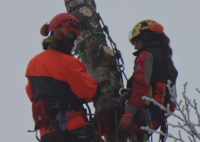 Betriebsinterner Kletterkurs